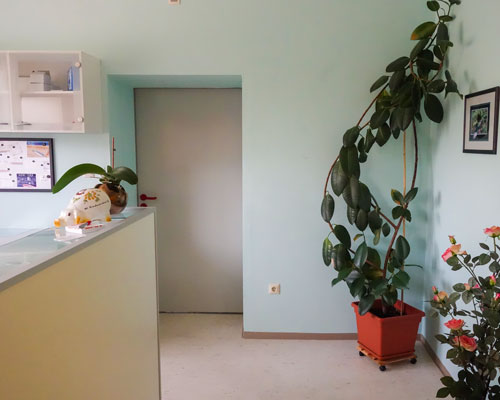 Praxis HypnoCranios - Straubing, Deggendorf, Passau, Cham, Weiden, Furth